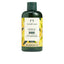 THE BODY SHOP-MANGO gel de ducha 250 ml-DrShampoo - Perfumaria e Cosmética