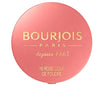 BLUSH POUR POMMES À JOUES 16 roses coupées 25 gr.
