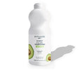 FAMILY FRESH DELICE shampoo seco 750 ml
