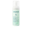Espuma de limpeza VINOCLEAN 150 ml