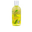 DR. ORGANIC-BIOACTIVE ORGÂNICO shampoo de árvore do chá 265 ml-DrShampoo - Perfumaria e Cosmética