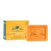 Shampoing revitalisant ECO SOLIDE 75 gr