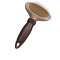 pequeno cartão oval