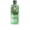 Champô nutritivo MINT 350 ml