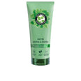 MINT condicionador nutritivo 250 ml