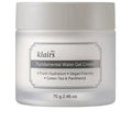 Creme gel ÁGUA FUNDAMENTAL