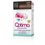 LLONGUERAS-OPTIMA cor de cabelo 641 chocolate chocolate-DrShampoo - Perfumaria e Cosmética