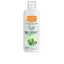NATURAL HONEY-gel de banho GREEN TEA 600 ml-DrShampoo - Perfumaria e Cosmética