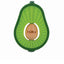 NÛBY-Avocado TEETHER 6m+ 1 u-DrShampoo - Perfumaria e Cosmética