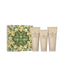 ORIGINS-GINGER BODY ESTUCHE 4 pz-DrShampoo - Perfumaria e Cosmética