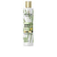 PANTENE-PANTENE MILAGRE FORTE CRESCIMENTO shampoo 250 ml.-DrShampoo - Perfumaria e Cosmética
