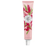 CREME PARA MÃOS E UNHAS DE GENGIBRE VERMELHO 30 ml