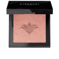 BLUSH iluminador 300 Rose Jaipur 55 gr.