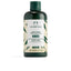 THE BODY SHOP-Condicionador GINGER 250 ml-DrShampoo - Perfumaria e Cosmética