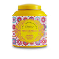 INFUSION EN VRAC fruits des bois 100 gr