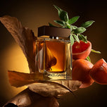 THE ONE POUR HOMME edp vapo 50 ml
