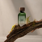 ADOLFO DOMINGUEZ-VETIVER TERRA edpo vapo 120 ml-DrShampoo - Perfumaria e Cosmética