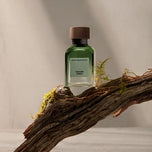 ADOLFO DOMINGUEZ-VETIVER TERRA edpo vapo 120 ml-DrShampoo - Perfumaria e Cosmética
