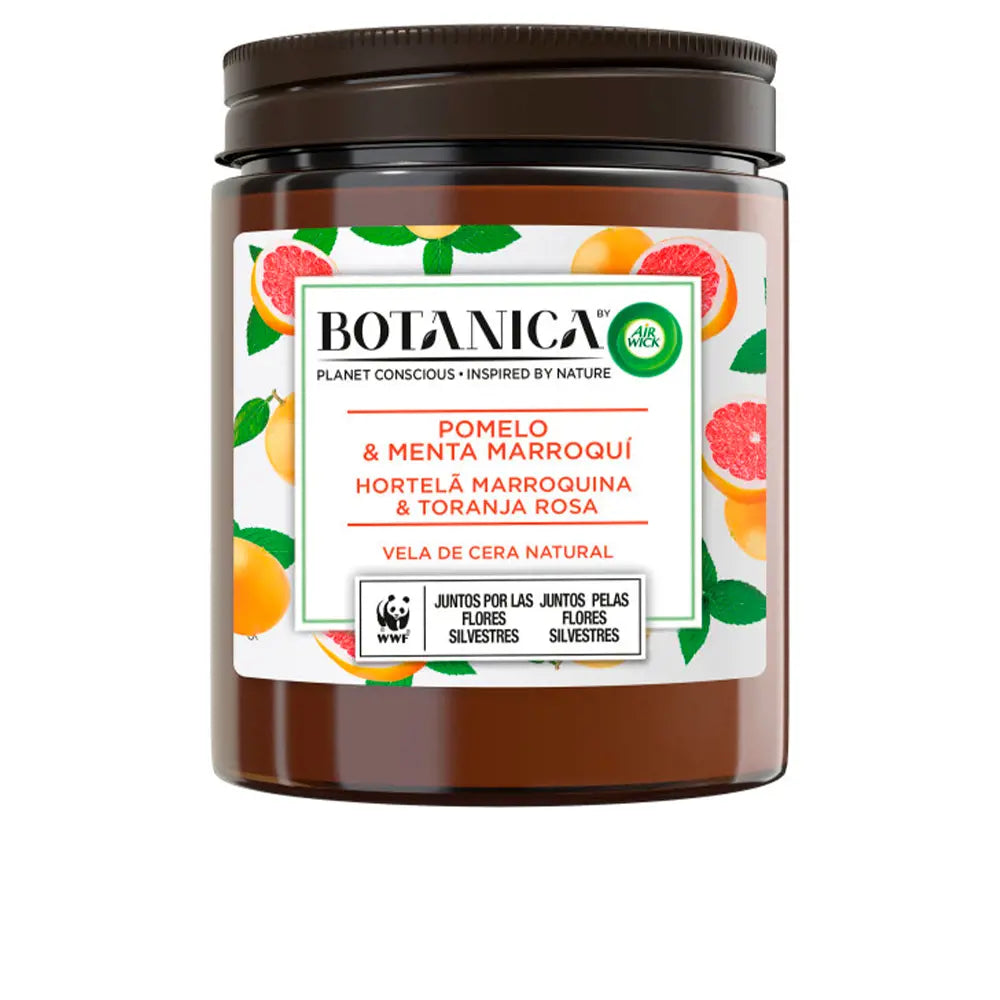 AIR-WICK-BOTANICA CANDLE laranja menta 205 gr-DrShampoo - Perfumaria e Cosmética