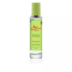 ALVAREZ GOMEZ-EAU DE COLOGNE CONCENTRADO eau fraîche eau de cologne spray 30 ml-DrShampoo - Perfumaria e Cosmética
