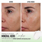 BARE MINERALS-Creme hidratante SKINLONGEVITY 50 gr-DrShampoo - Perfumaria e Cosmética