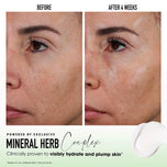 BARE MINERALS-Creme hidratante SKINLONGEVITY 50 gr-DrShampoo - Perfumaria e Cosmética