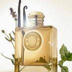BURBERRY-BURBERRY DEUSA INTENSA edp vapo 100 ml-DrShampoo - Perfumaria e Cosmética