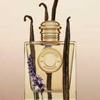 BURBERRY-BURBERRY DEUSA edp vapo 30 ml.-DrShampoo - Perfumaria e Cosmética