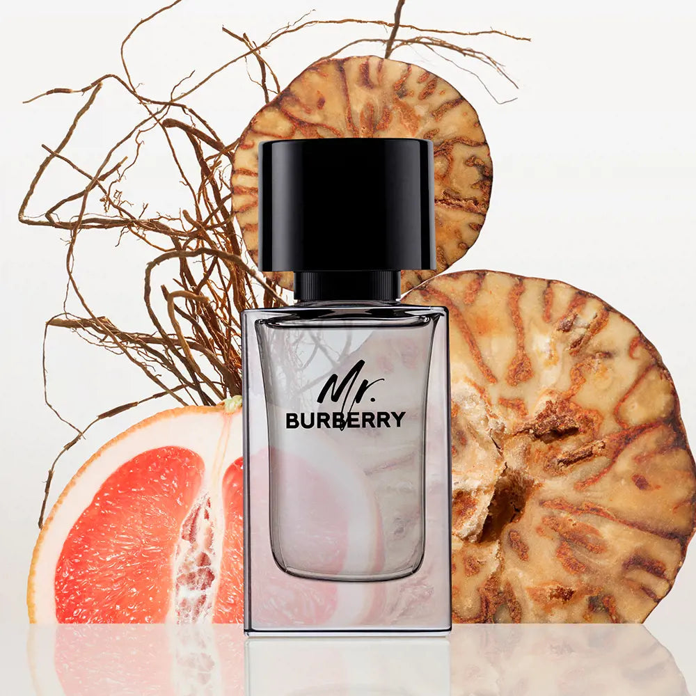 BURBERRY-MR BURBERRY spray de eau de toilette 100 ml.-DrShampoo - Perfumaria e Cosmética