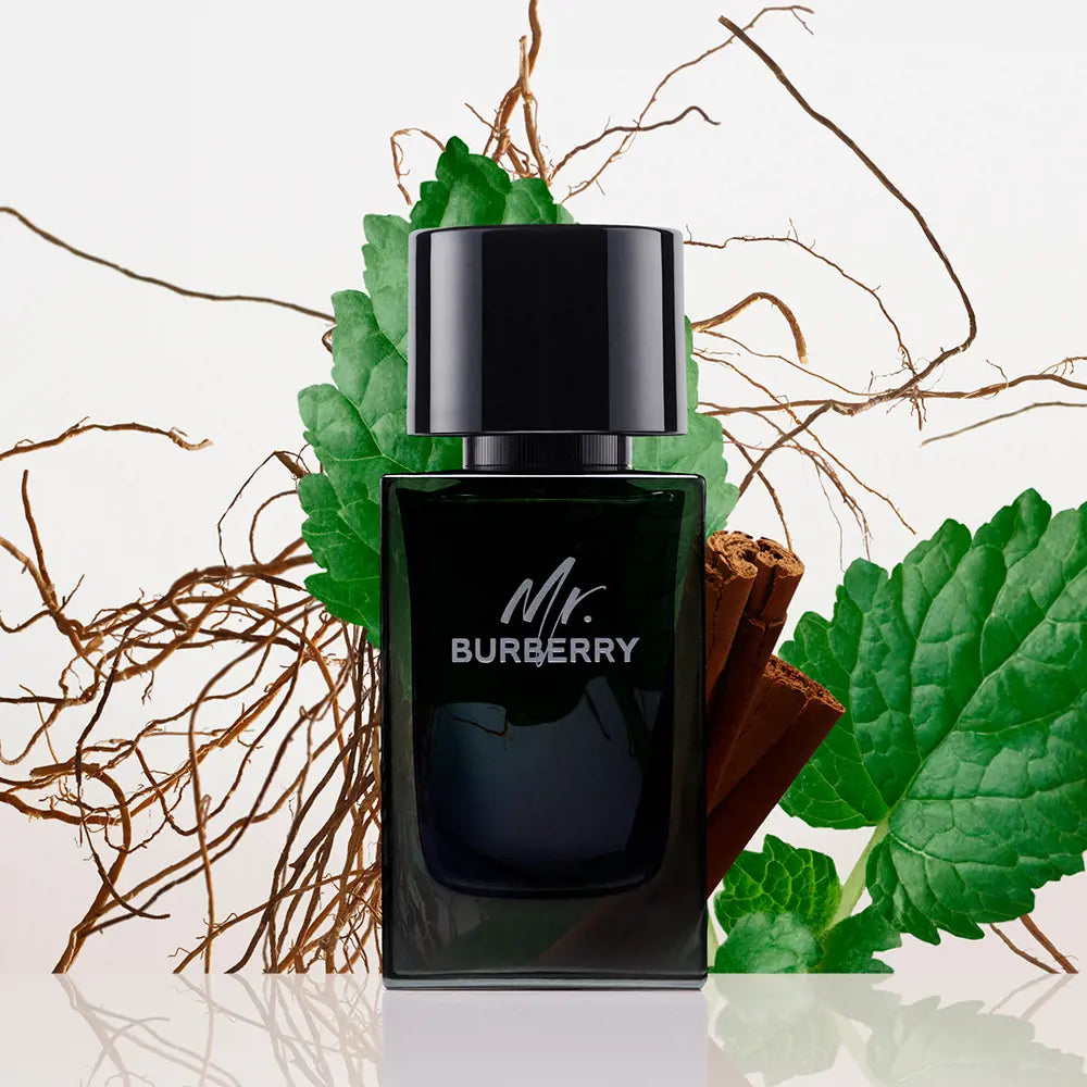 BURBERRY-MR. BURBERRY eau de parfum spray 100 ml.-DrShampoo - Perfumaria e Cosmética