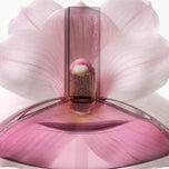 CALVIN KLEIN-EUPHORIA edt vaporizador edição limitada 100 ml.-DrShampoo - Perfumaria e Cosmética