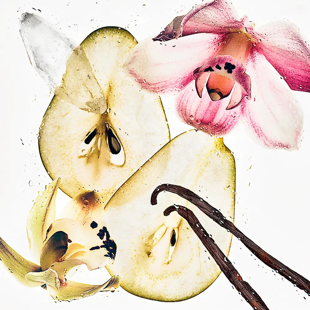 CALVIN KLEIN-Spray corporal CK NUDE VANILLA 236 ml.-DrShampoo - Perfumaria e Cosmética