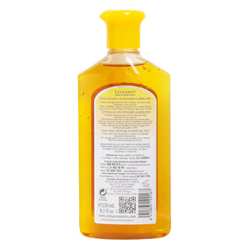 Shampoing CAMOMILLE reflet rubis 250 ml Image secondaire du produit