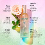 CAUDALIE-EAU DE BEAUTE éclat du teint suavizante 100 ml-DrShampoo - Perfumaria e Cosmética