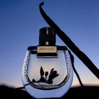 CHLOE-NOMADE NUIT D39EGYPTE edp vapo 50 ml.-DrShampoo - Perfumaria e Cosmética
