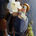 CHLOE-NOMADE edp spray 75ml-DrShampoo - Perfumaria e Cosmética