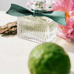 CHLOE-ROSE NATURELLE INTENSE eau de parfum recarregável 50 ml.-DrShampoo - Perfumaria e Cosmética