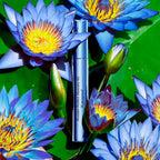 CLARINS-MÁSCARA À PROVA D'ÁGUA WONDER PERFECT 4D 01 PRETO 8 ml-DrShampoo - Perfumaria e Cosmética