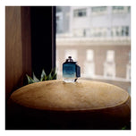 COACH-COACH BLUE edt spray 100ml-DrShampoo - Perfumaria e Cosmética