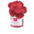 Air freshener PERFUMED FLOWERS 0 blackberries and raspberries 40 ml