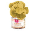 Air freshener PERFUMED FLOWERS 0 orange and tangerine blossom 40 ml