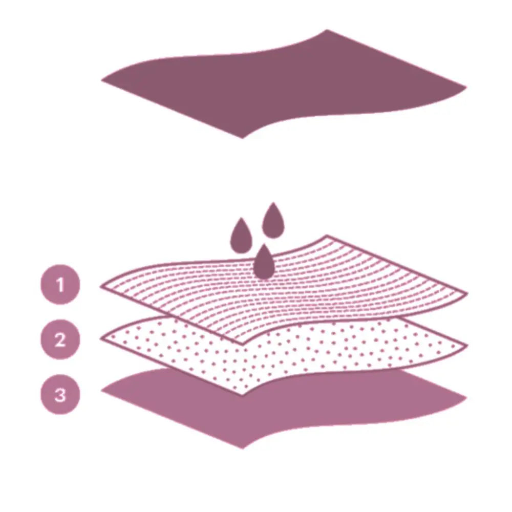 CUMLAUDE LAB-CUMLAUDE LAB CALCINHAS MENSTRUAIS absorção média L 1 u.-DrShampoo - Perfumaria e Cosmética