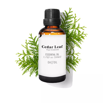 ÓLEO ESSENCIAL folha de cedro 50 ml Imagem secundária do produto