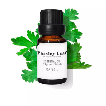 ÓLEO ESSENCIAL folha de salsa 10 ml Imagem secundária do produto
