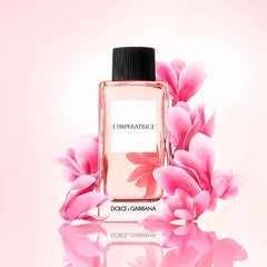 DOLCE & GABBANA-3 - L’IMPERATRICE-DrShampoo - Perfumaria e Cosmética