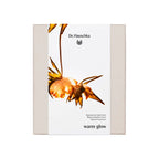 DR. HAUSCHKA-CREME DE DIA REGENERADOR ESTOJO 3 unid.-DrShampoo - Perfumaria e Cosmética