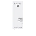 Dr. FUNDAÇÃO HAUSCHKA