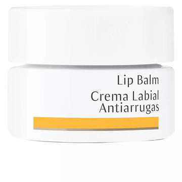 DR. HAUSCHKA-LIP BALM Antirrugas 4,5 ml-DrShampoo - Perfumaria e Cosmética Imagem principal do produto