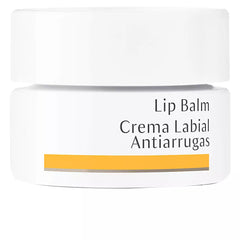 DR. HAUSCHKA-LIP BALM Antirrugas 4,5 ml-DrShampoo - Perfumaria e Cosmética