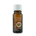 DR. ORGANIC-BIOACTIVE ORGANIC tea tree solución para uñas 10 ml-DrShampoo - Perfumaria e Cosmética